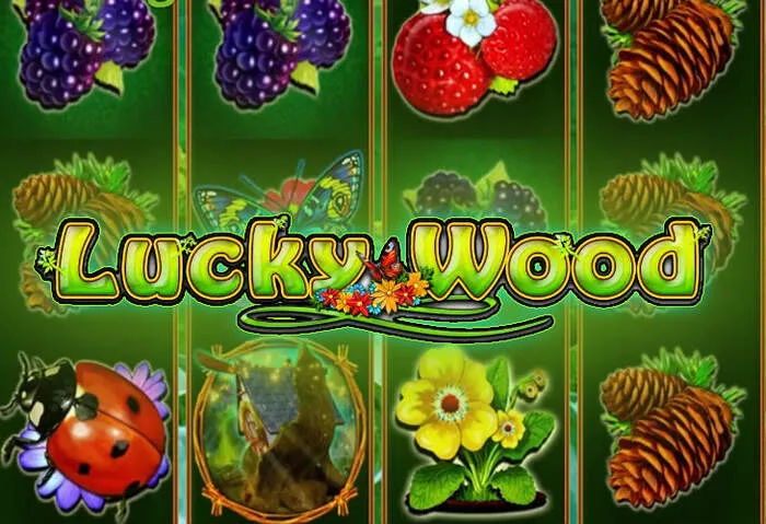 Profitez d'un Gomblingo Jeux de Casino bonus généreux