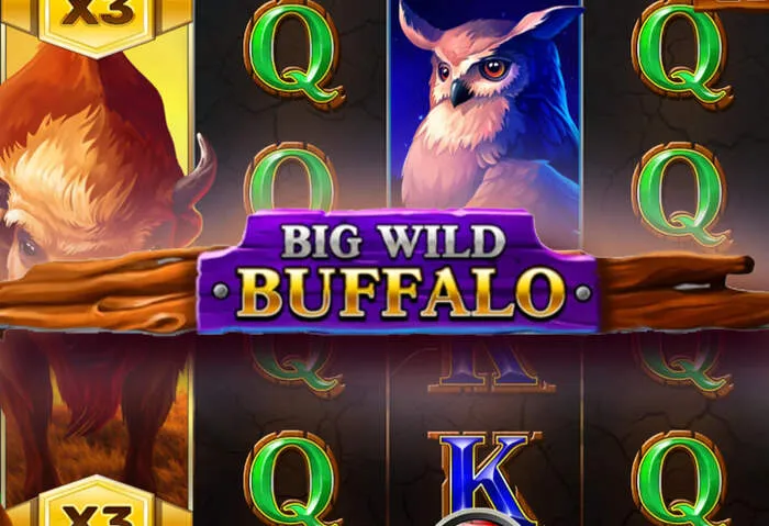Logo officiel de Gomblingo Casino - Examen Complet & Guide détaillé